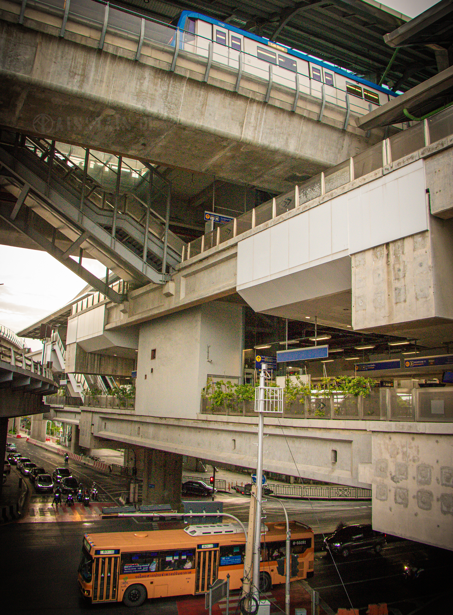 20240908 IMG 6703 (1)